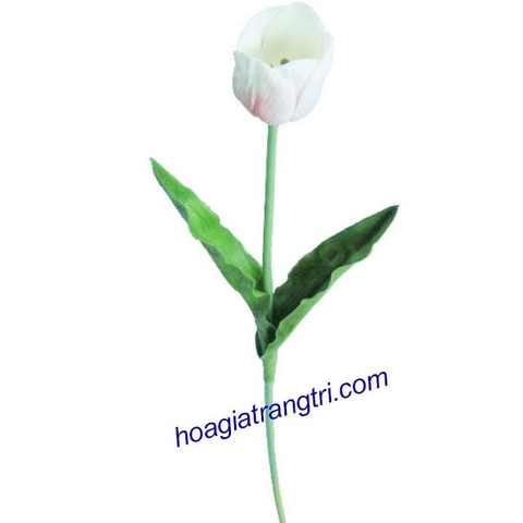 Hoa tuy líp cao su mẫu 02 - Giá bán lẻ