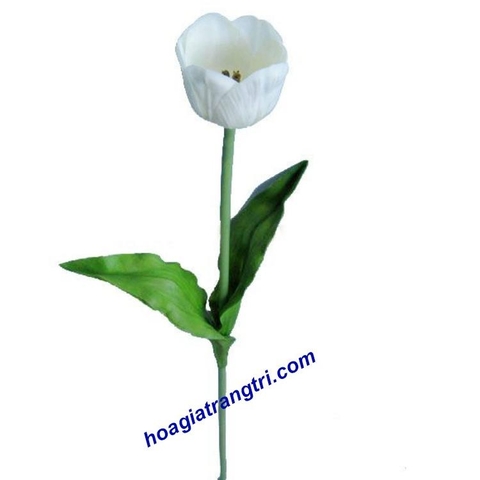 Hoa tuy líp cao su mẫu 03- Giá bán lẻ
