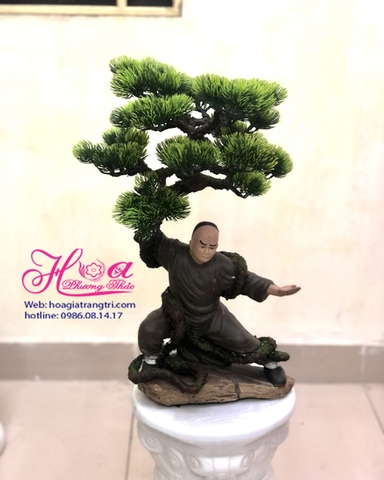 Cây tùng bonsai 3