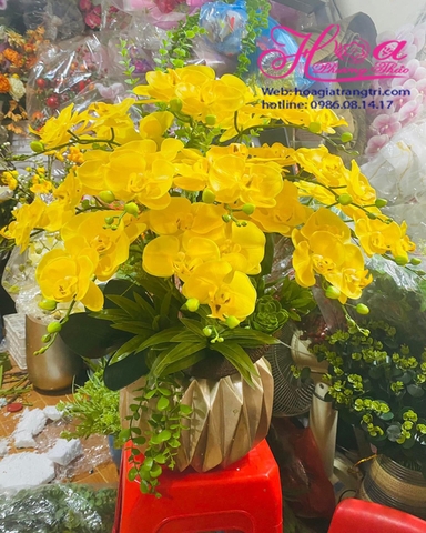 Bình hoa Phong lan vàng 2