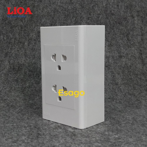 Ổ CẮM ĐÔI ĐA NĂNG CÓ NẮP CHE 16A - 250V - LC2DN