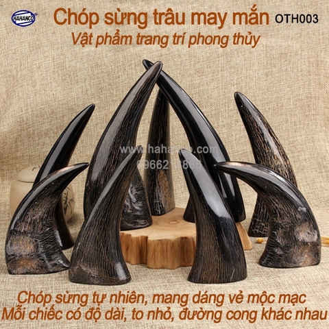 Chóp Sừng Trâu Vật Phẩm Phong Thủy HAHANCO Giàu Sang Phú Quý - OTH003