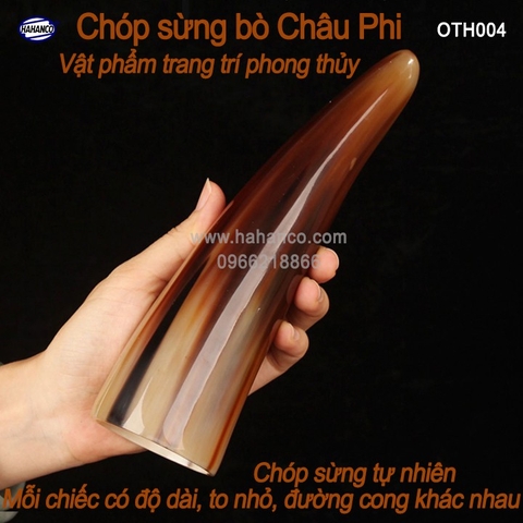 Chóp sừng bò Châu Phi - vật phẩm phong thủy- HOT nhất của năm trâu vàng 2021 - giàu sang/phú quý - OTH004 - HAHANCO