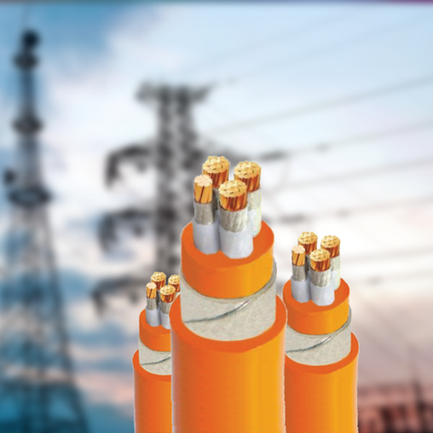 FR- C/XLPE/PVC/DSTA/PVC – 0.6/1KV 3pha 1trung tính