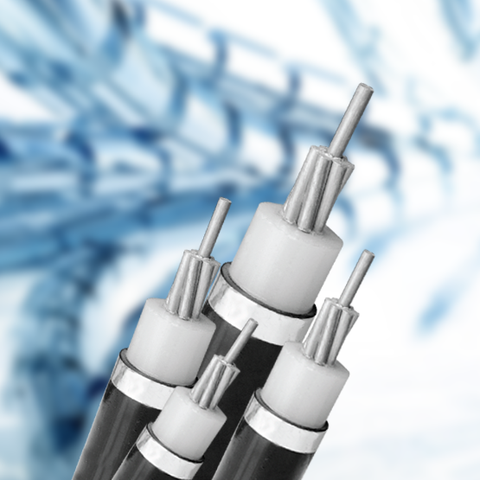 CÁP TRUNG THẾ AS/XLPE/PVC(HDPE) - 12/20(24)KV