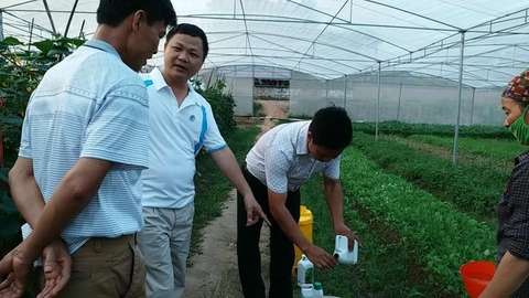 Lãnh đạo Nâng tầm gía trị Việt triển khai nông sản sạch, tại khu quy hoạch tỉnh Bắc Giang.