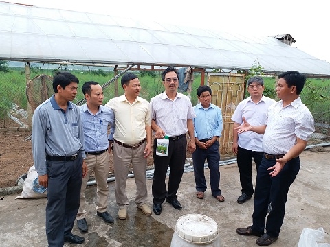 Nâng tầm giá trị Việt triển khai nông sản sạch cho cây Măng tây Phú Xuyên - ĐT 098 2222 036