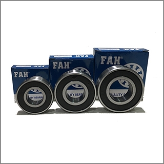 Vòng bi FAH 6310 2RS
