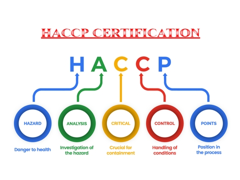 CHỨNG NHẬN HACCP - CHẤT LƯỢNG BỘT RAU QUẢNG THANH VƯƠNG TẦM CHÂU ÂU
