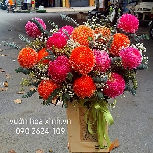 Tình vàng - HHG1039