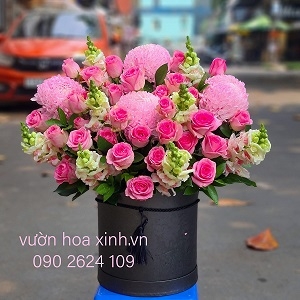 Vườn Hoa Xinh 38 - HHG1115