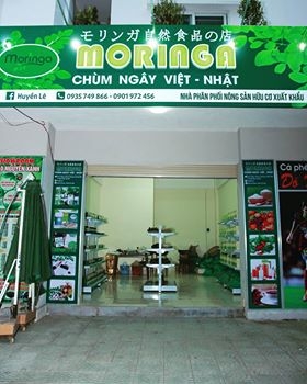 Ưu đãi 15% cho tất cả đơn hàng nhân dịp khai trương Cửa hàng Moringa Chùm Ngây Việt - Nhật