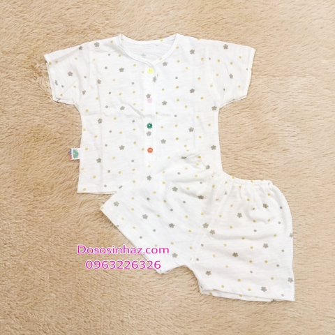 Bộ Cotton Cộc