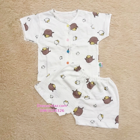 Bộ Cotton Cộc