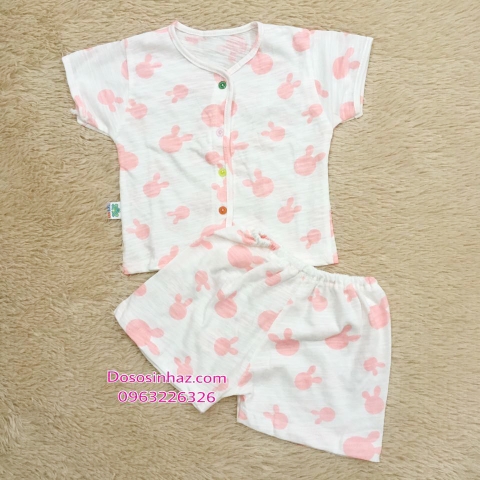 Bộ Cotton Cộc
