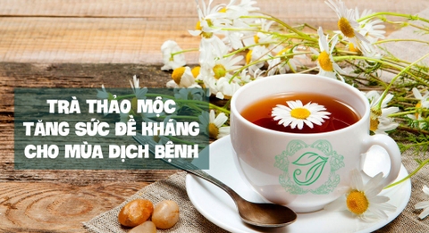 3 loại trà thảo mộc giúp tăng sức đề kháng cho mùa dịch bệnh
