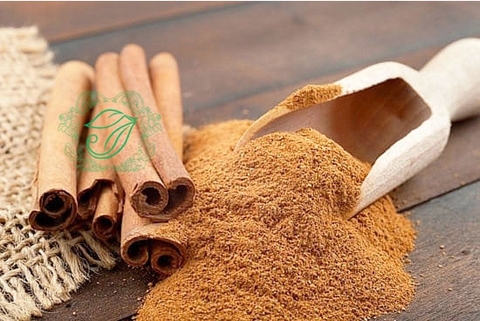 Dược liệu Quế và một số bài thuốc cổ có dùng quế