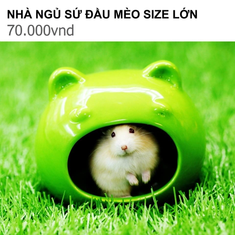 NHÀ NGỦ SỨ ĐẦU MÈO SIZE LỚN