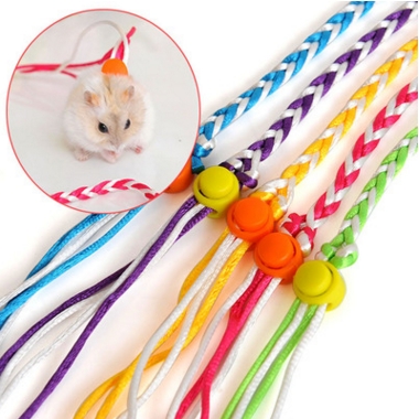 DÂY DẮT MỌI LOẠI HAMSTER