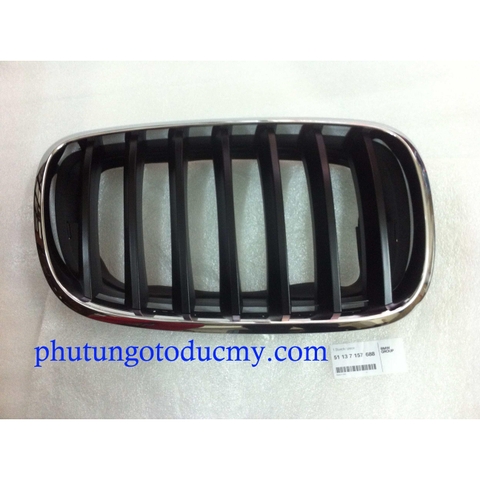 Mặt ca lăng Bmw X5 E70, X6 E71 - 51137157688