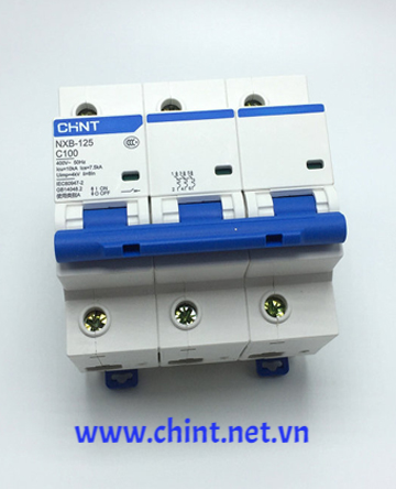 CHINT NXB-125