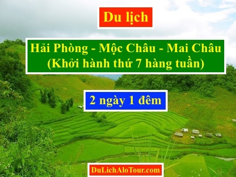 Tour du lịch Hải Phòng Mộc Châu khởi hành hàng tuần, Alo: 0934.247.166