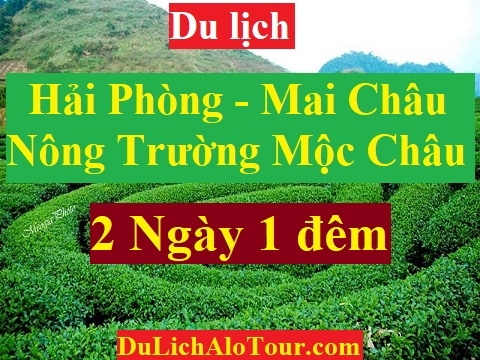 TOUR HẢI PHÒNG - MAI CHÂU - MỘC CHÂU -  NÔNG TRƯỜNG MỘC CHÂU