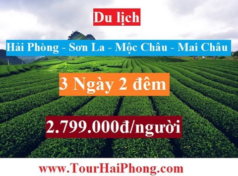 ALO TOUR HẢI PHÒNG - SƠN LA - MỘC CHÂU - MAI CHÂU