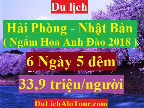 TOUR HẢI PHÒNG - NHẬT BẢN ( NGẮM HOA ANH ĐÀO 2018 )