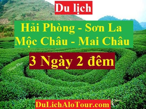 TOUR HẢI PHÒNG - SƠN LA - MỘC CHÂU - MAI CHÂU