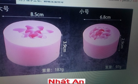 Khuôn silicone 4D( có 2 size)