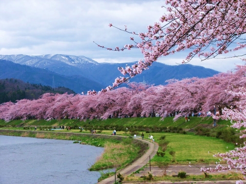 DU LỊCH NHẬT BẢN GIÁ SIÊU RẺ: OSAKA - NARA - NAMBA - KYOTO