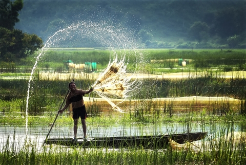 VĨNH LONG - RẠCH GIÁ - CÀ MAU - CẦN THƠ