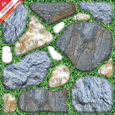 Gạch Sân Vườn: ROMARIO 9803