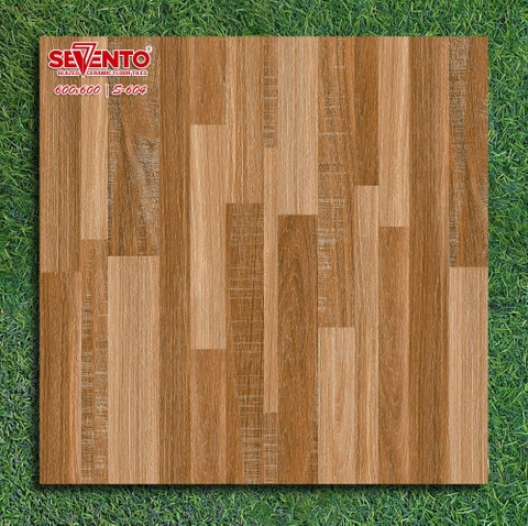 Gạch lát nền 60x60: S604