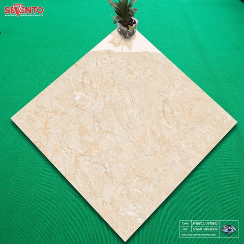Gạch lát nền 60x60: SVT6801