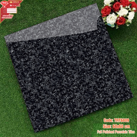 Gạch lát nền 60x60: TRT6809