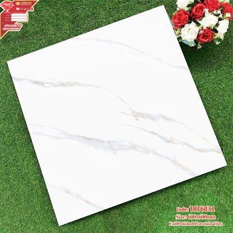 Gạch lát nền 60x60: TRT6831
