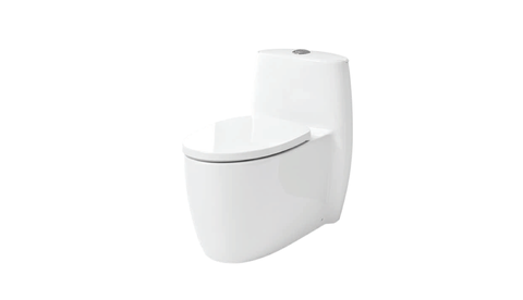 BC 889 - One Piece Toilet