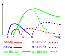 Diến tiến các marker của virus viêm gan B