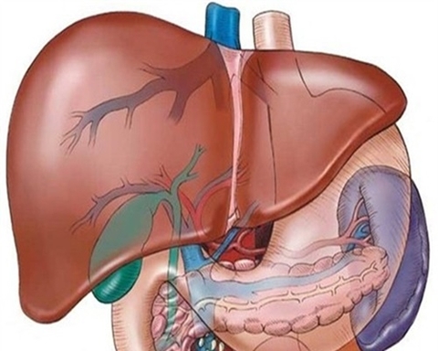 Viêm gan B - Biểu hiện mờ nhạt mà tính nguy hiểm cao