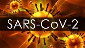 Điểm danh một số biến thể của SARS-CoV-2