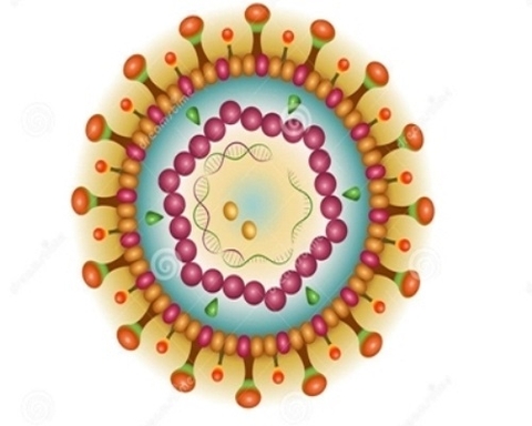 11 Khuyến cáo điều trị viêm gan virus B