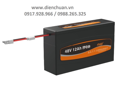 Ắc quy/ Pin Lithium 48V 12Ah dùng cho xe đạp điện xe máy điện Narada L4812