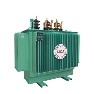 Biến áp điện lực 3 pha ngâm dầu 10(22)/0,4kV