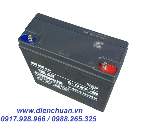 Ắc quy xe máy điện hàng nội địa chất lượng số 1 Trung Quốc- CHILWEE 6-DZF-21 ( 12V-21AH)