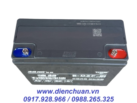 Ắc quy xe máy điện hàng nội địa chất lượng số 1 Trung Quốc- CHILWEE 6-DZF-21 ( 12V-21AH)