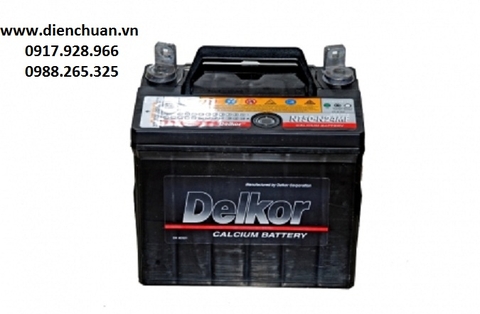 Ắc quy Delkor 12V 26Ah NT50-N24 (12V-26ah)