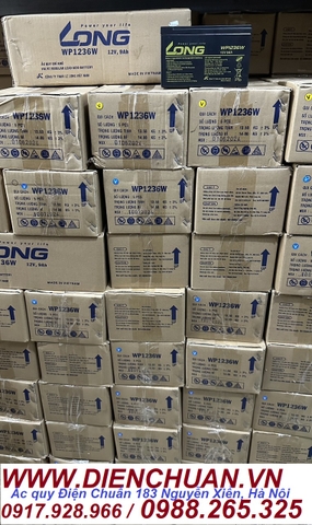 Ắc quy dùng cho UPS- loa kéo- bình thuốc sâu- lưu điện cửa cuốn- xe điện trẻ em Long 12V-9Ah WP1236W