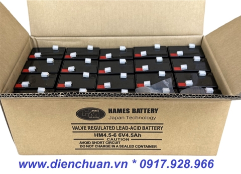Ắc quy 6V 4.5Ah HAMES HM4.5-6 / pin 6V-4.5Ah